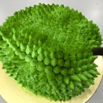 Durian Cake 3D